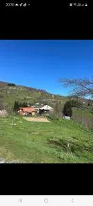 Firefly - Биело-Поле