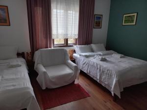 B&B Vila Babin zub
