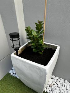 Affordable Luxury Apartment