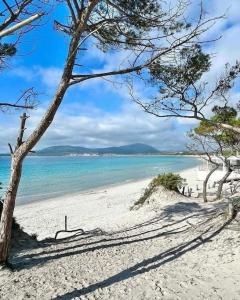 Mansarda Casa Mariuccia