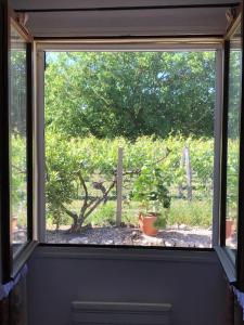 Maisons de vacances Grande Vue A little bit of French tranquillity : photos des chambres