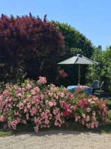 Maisons de vacances Grande Vue A little bit of French tranquillity : photos des chambres