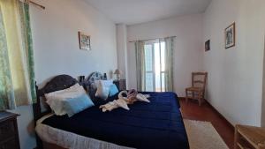 Albufeira Seaview 4 Beach HOUSE