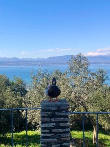 Alice&Luna's Apartaments Sirmione img98