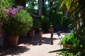 Residence Fenicia img65