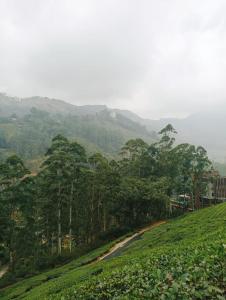 Attukad waterfalls near individual 4 Rooms cottage 4BHK attukad tea estate