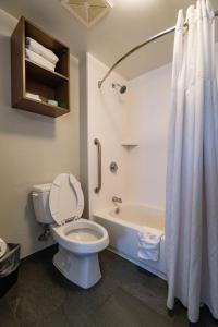 Staybridge Suites Jackson by IHG