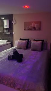 Appartements 1001 nuits F : photos des chambres
