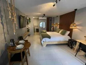 Condado Beach Organic Jewel King Size - Parque