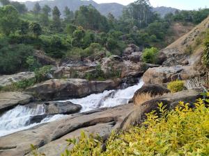Attukad waterfalls near individual 4 Rooms cottage 4BHK attukad tea estate