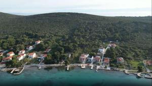 Apartments by the sea Brgulje, Molat - 22856