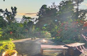 Magic Mena Rainforest Retreat by Tiny Away