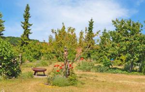 Ferienwohnung Waren Müritz