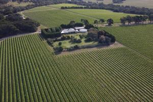 Vineyard Lane - Winery Escape