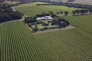 Vineyard Lane - Winery Escape - Balcombe