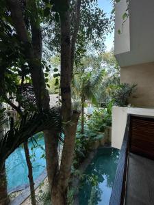 Hermoso Departamento en Tulum