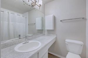 Cushy 2BD Apt Austin Texas