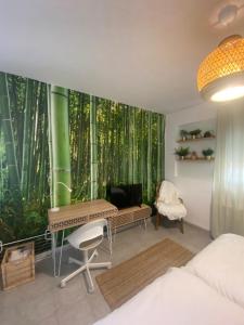 SnD Rentals- Studios