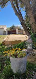 Appartement dans un mas provençal rénové