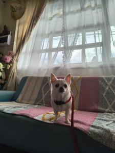 Casa completa para 6 personas centro Puerto Montt, 700 metros estatua enamorados