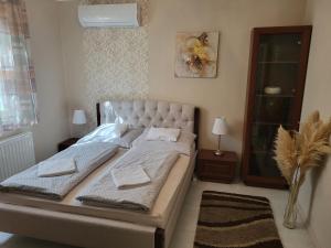 Jókai Apartman Szarvas