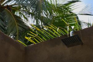 Hangtens Surf Skate Hostel