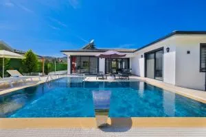 villa emir 2 - Yaniklar