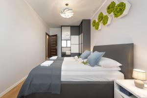 Comfortable Apartment Krakowska Wrocław with FREE PARKING by Renters
