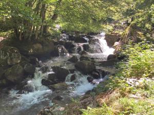Hotels Le chateau brangoly : photos des chambres