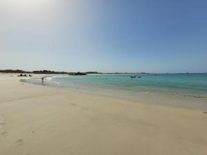 Maisons de vacances Paisible oasis ! Grande maison familiale : photos des chambres