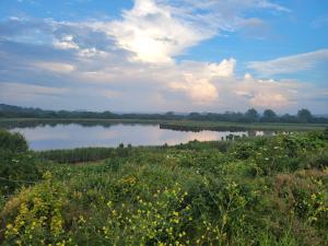 Maisons de vacances Paisible oasis ! Grande maison familiale : photos des chambres