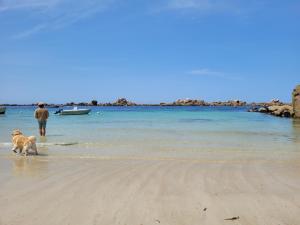 Maisons de vacances Paisible oasis ! Grande maison familiale : photos des chambres