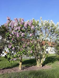 Aux couleurs de la Baie à Sailly-Bray