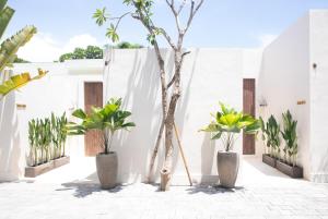 Daloha Bali 2BR Villa in Canggu