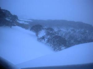 Shamrock Apartment 9 - Mount Hotham