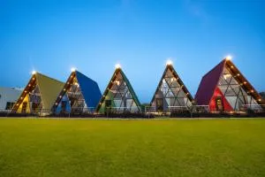 Sunflower Saga - Chandwaji