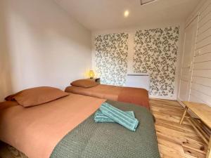 Maisons de vacances Maison hyper centre Ville - 4 Pers - 2 places de Parking gratuites : photos des chambres