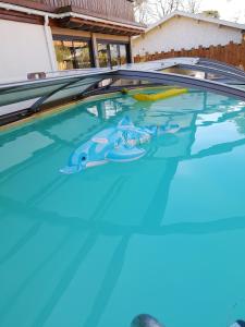 Villa avec piscine et jardin, Gujan-Mestras