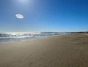 Campings Mobilhome 3 chambres 6 personnes pres de la plage - Novela - Frederic et Sandra : photos des chambres