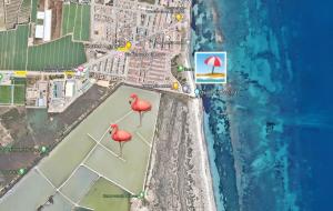 Flamingo Vila Alicante