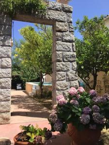 Appartements Entre Mer et Montagnes : photos des chambres