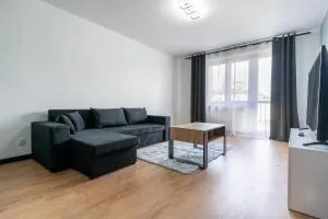 Sosnowiec City Centre Apartment - Krze