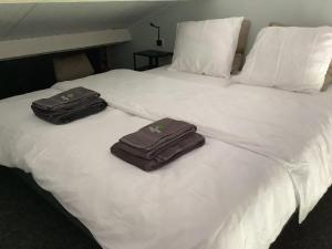 Gastenverblijf Dalem met hottub en landelijk