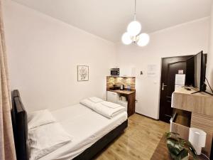 Apart-Hostel Helvetia