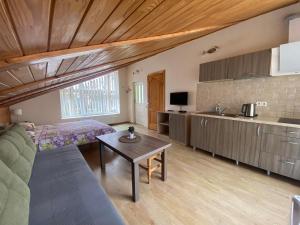 One-Bedroom Apartment room in Rest in Palanga