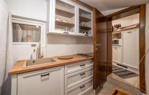 Amazing Apartment In Turcin With Sauna 