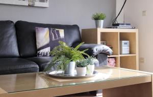 Amazing Home In Vlagtwedde With Wifi