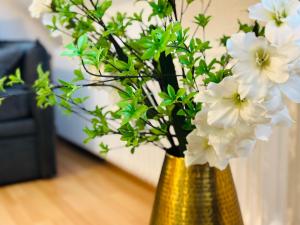 Dschungel Wohnung, geräumig, Netflix, Sonos, zentral