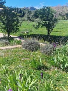 Appart'hotels Domaine du Mas Foucray : Appartement Supérieur 2 Chambres