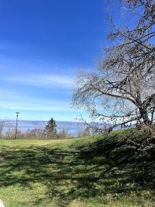 Appartements Lugrin proche du Lac et Montagne : photos des chambres